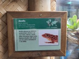 Výlet do ZOO